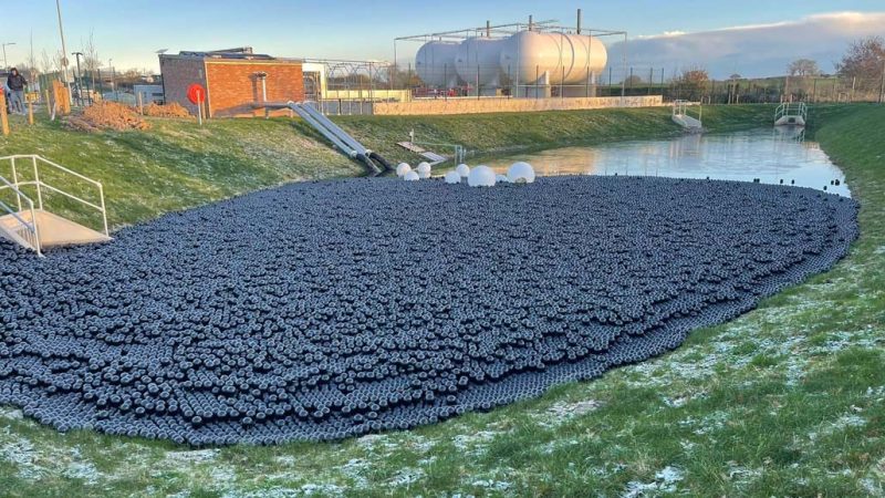 How cover balls prevent algae growth