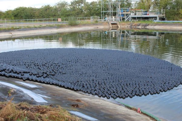 Balls on Yorkshire Water