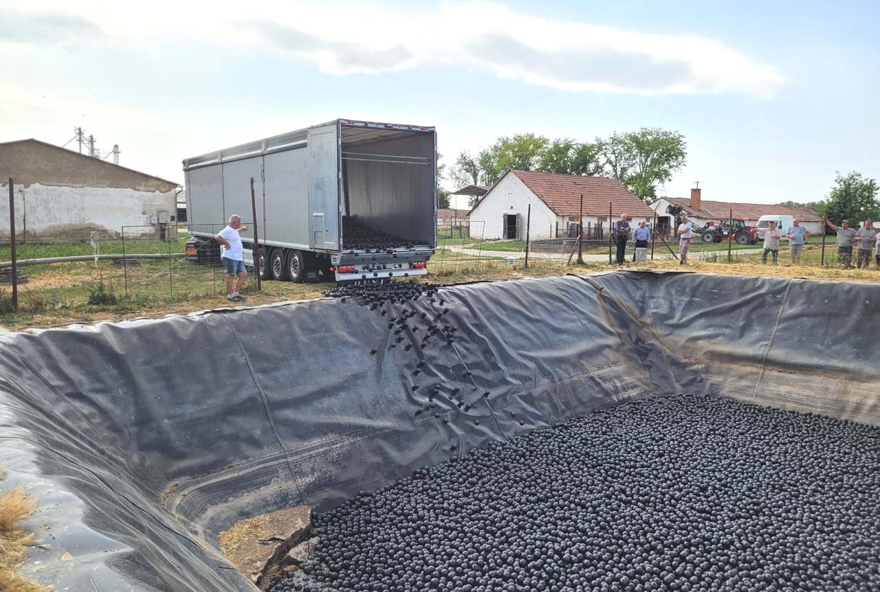 pig farm odour reduction